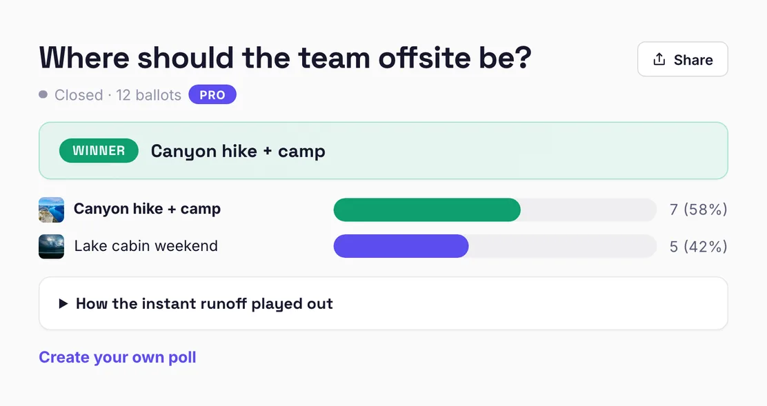 A finished poll: winner card, final standings, and the instant-runoff rounds charted